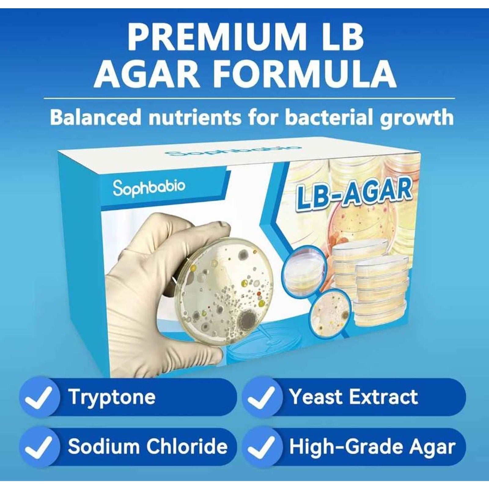 LB Agar Plates – 10 Pre-Poured Sterile Petri Dishes & 15 Sterile Swabs