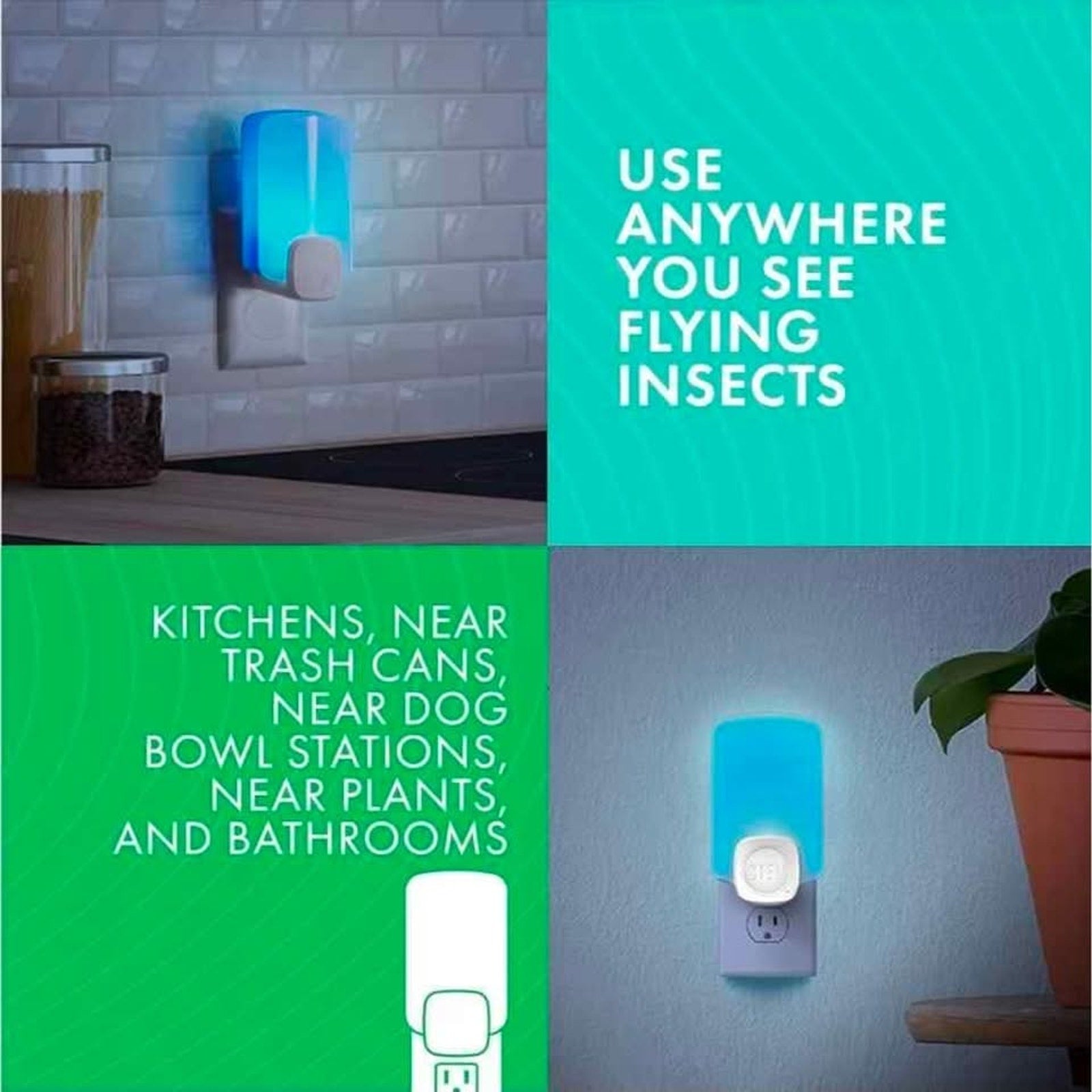 STEM Indoor Fruit Fly  Light Trap,  2 Pack Plug-ins and 4 Cartridge Starter Kit