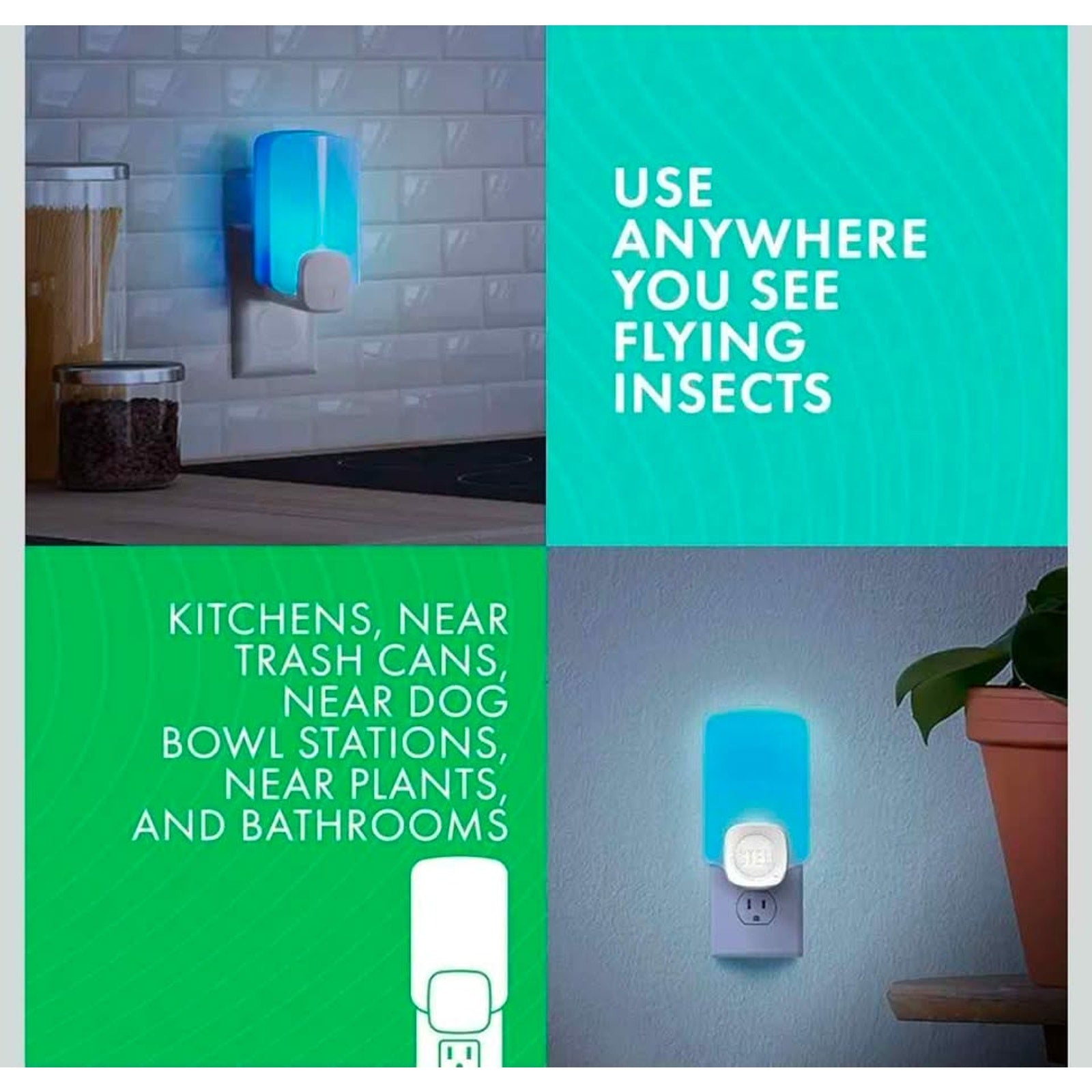 STEM Insect Trap - Indoor Fruit Fly & Gnat Pest Control for House, Home and Kitchen, Attracts & Trap