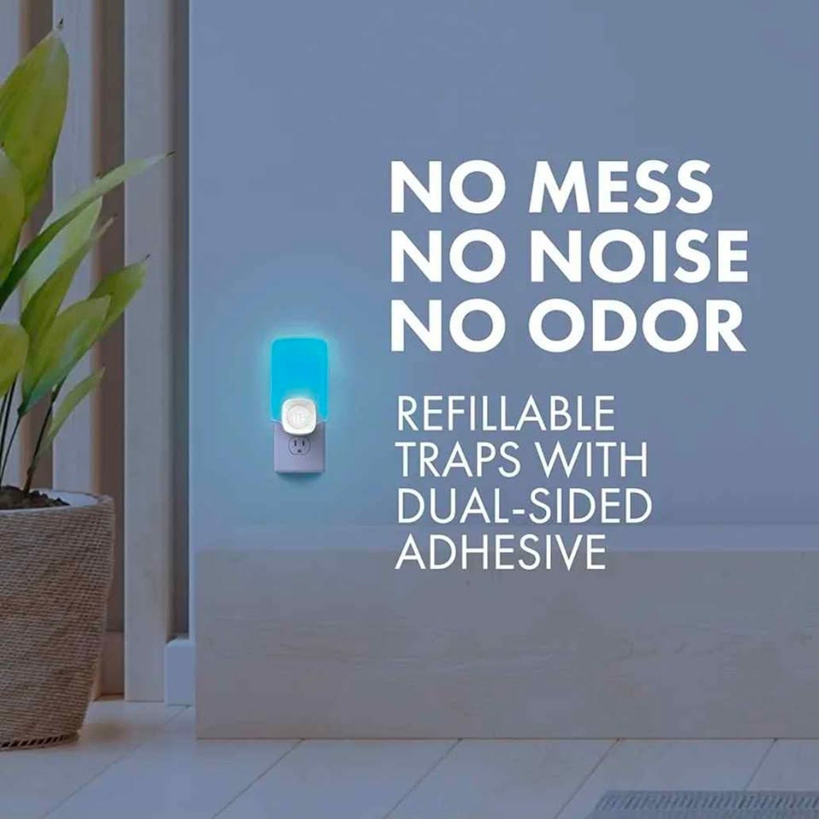 STEM Insect Trap - Indoor Fruit Fly & Gnat Pest Control for House, Home and Kitchen, Attracts & Trap